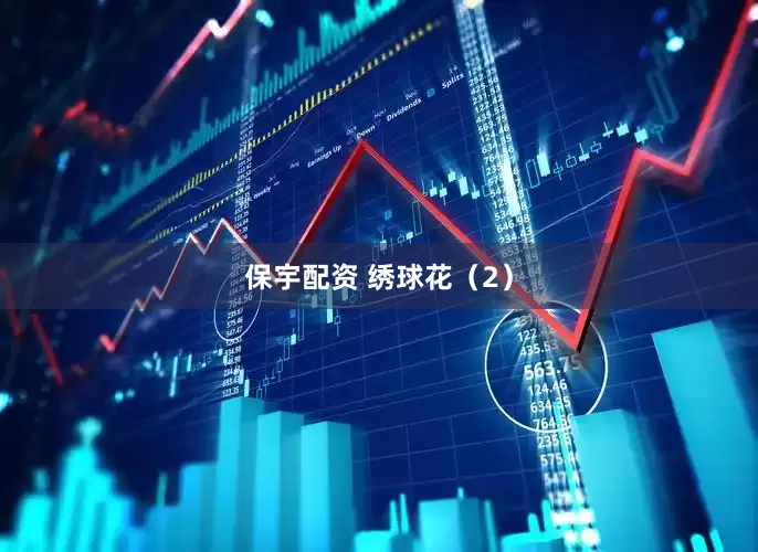 保宇配资 绣球花（2）