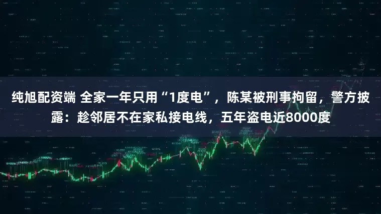 纯旭配资端 全家一年只用“1度电”，陈某被刑事拘留，警方披露：趁邻居不在家私接电线，五年盗电近8000度